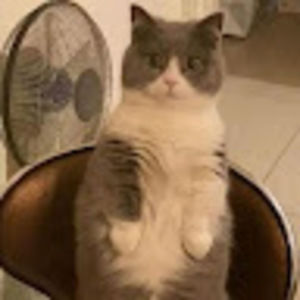 Meet your Posher, Ale